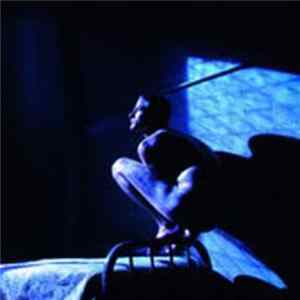 Peter Gabriel - Birdy FLAC