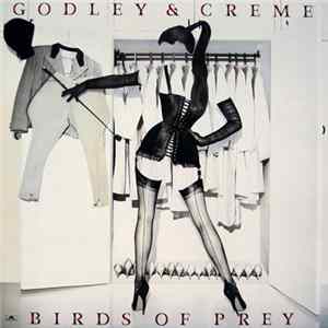 Godley & Creme - Birds Of Prey FLAC
