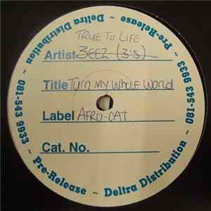 True To Life - Turn My Whole World FLAC