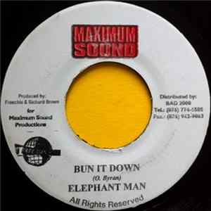 Elephant Man - Bun It Down FLAC