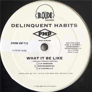 Delinquent Habits - What It Be Like FLAC