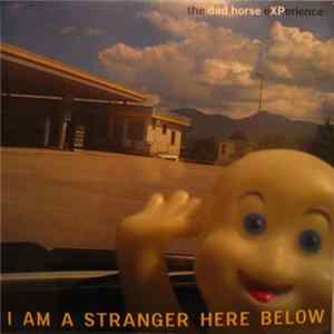 The Dad Horse Experience - I Am A Stranger Here Below FLAC
