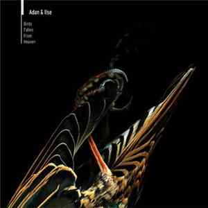 Adan & Ilse - Birds Fallen From Heaven FLAC