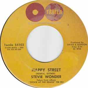Stevie Wonder - Sad Boy FLAC