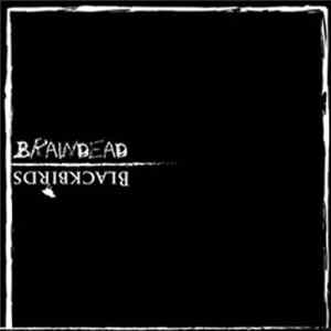 Blackbirds / Braindead - Blackbirds / Braindead FLAC