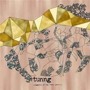 Tunng - Comments Of The Inner Chorus FLAC