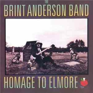 Brint Anderson - Homage To Elmore FLAC