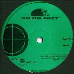 Wildplanet - Synthetic / Moving On FLAC
