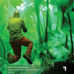 Spirit Elevating Brains - Pulsos Temporales Memorias Estables FLAC