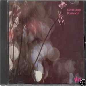 David Diggs - Realworld FLAC
