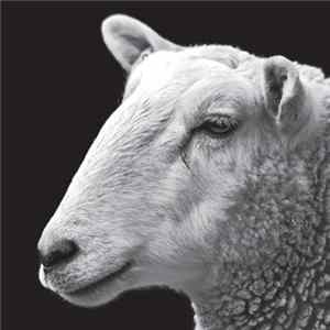Robot Needs Oil - Speck EP FLAC