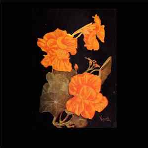Celer - Avalon FLAC