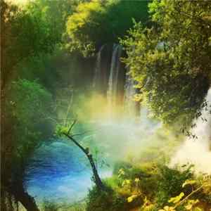 Sizzlebird - Feel Your Love FLAC