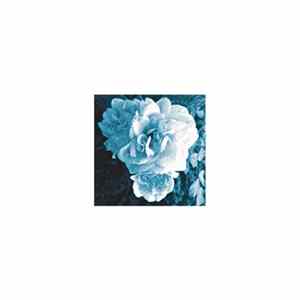 Ecole Du Ciel - Heartbeat War Drum FLAC