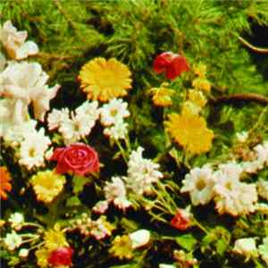 Bending Spirit - Flower Moon FLAC