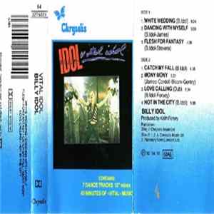 Billy Idol - Vital Idol FLAC