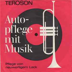Unknown Artist / Herman's Studio-Band - Autopflege Mit Musik (Pflege Von Neuwertigem Lack) FLAC