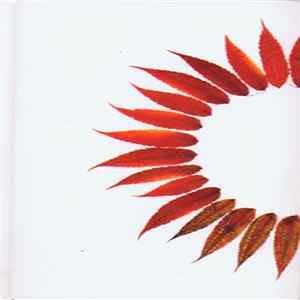 Sun Circle / Pregnant Moon - Sun Circle / Pregnant Moon FLAC
