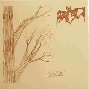 Cursillistas - Les Biches FLAC