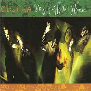China Crisis - Diary Of A Hollow Horse FLAC