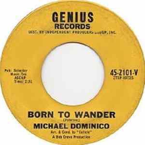 Michael Dominico, The Moon Surfers - Born To Wander / Surfin' On The Moon FLAC