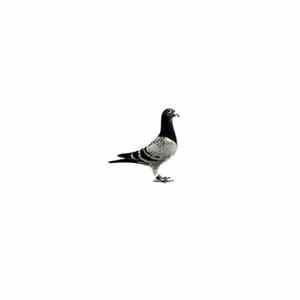 Pet Shop Boys - London FLAC
