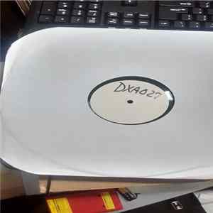 Straight To Hell - We Will Bury You FLAC