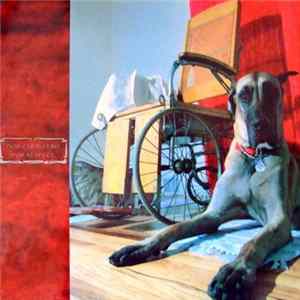 Don Caballero - For Respect FLAC