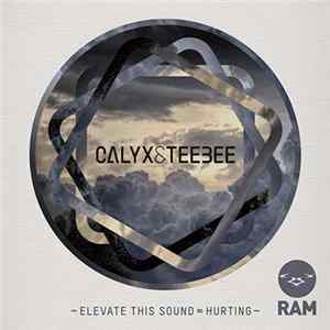 Calyx & TeeBee - Elevate This Sound / Hurting FLAC