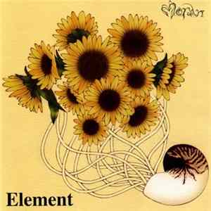 Moran - Element FLAC