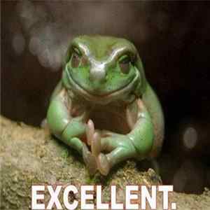 Sound Pellegrino Thermal Team - Rainforest Frog Symphony Mix FLAC