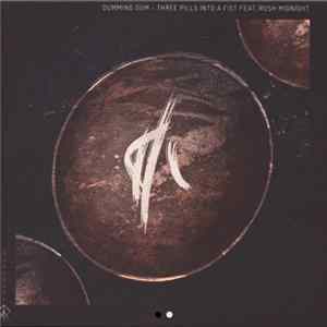 Dumming Dum feat. Rush Midnight - Three Pills Into A Fist FLAC