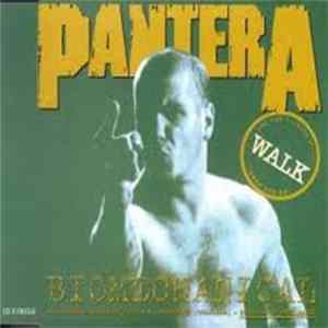 Pantera - Walk FLAC