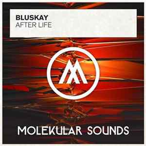 Bluskay - After Life FLAC