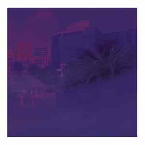 No Artist - Serato Scratch Live Control Record - Purple Glass FLAC