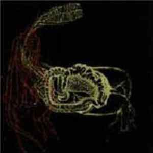 Arse Moreira / Beneath Low Flying Airplanes - Arse Moreira / Beneath Low Flying Airplanes FLAC