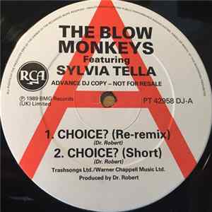 The Blow Monkeys Featuring Sylvia Tella - Choice? (Re-Remix) FLAC