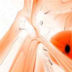 Convectorh, DJ 0000 - Bozon II FLAC