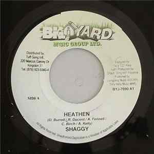 Shaggy - Heathen FLAC