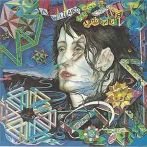 Todd Rundgren - A Wizard, A True Star FLAC