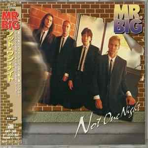 Mr. Big - Not One Night FLAC
