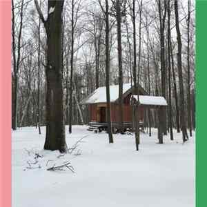 Sean Julian - Sounds of the Birch Forest FLAC