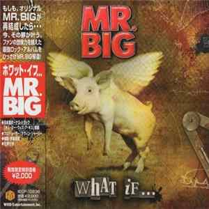 Mr. Big - What If... FLAC