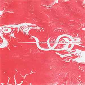 Skinny Puppy - Live In Chicago October 20, 1988 FLAC