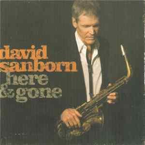 David Sanborn - Here & Gone FLAC