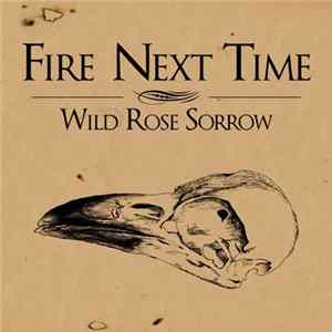 Fire Next Time - Wild Rose Sorrow FLAC