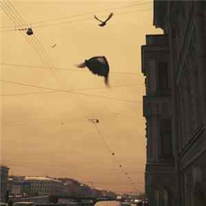 Ownsi Lense - Lost Sounds FLAC