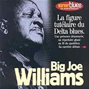 Big Joe Williams - Big Joe Williams FLAC