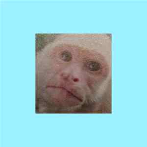 DD unit - Monkey Success (LIVE) FLAC