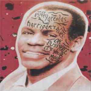 Puffy Areolas - Harrigan's Blues: OK Pussyface, It's Your Move FLAC